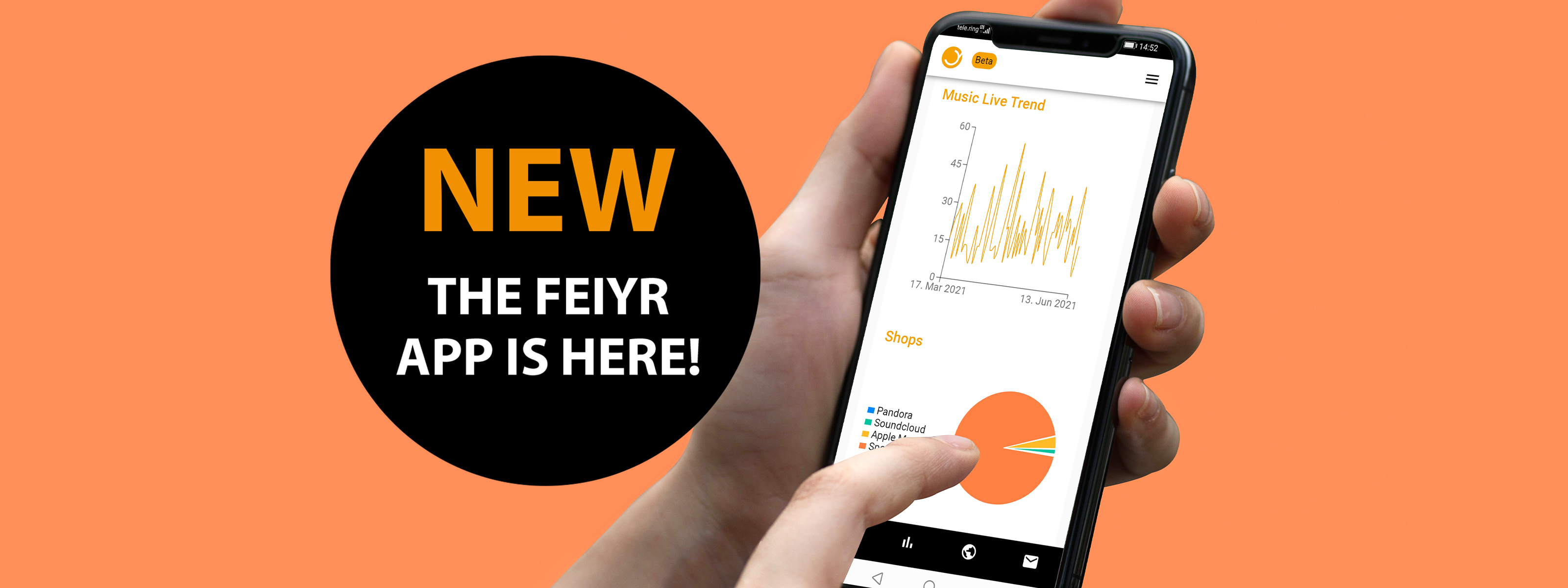 Feiyr Web App
