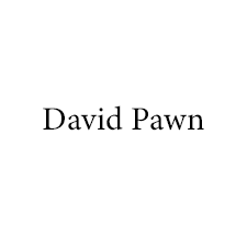 David-Pawn.png
